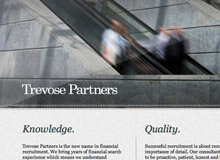 
            Trevose Partners
        